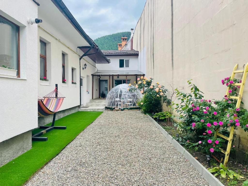 Schei Brasov-Скей Брашов Apartman Kültér fotó